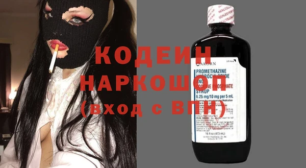 сатива Няндома