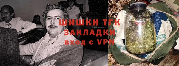 spice Новодвинск