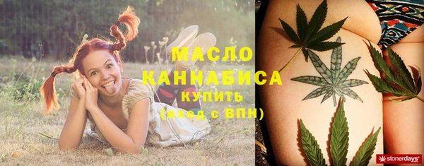 сатива Няндома