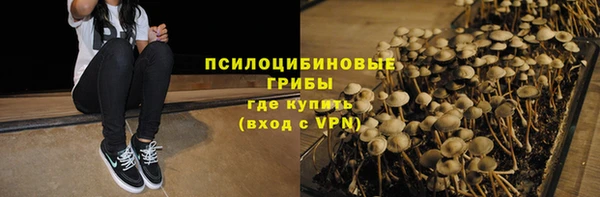 бутират Нязепетровск